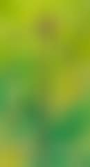 Musikanter mellem blomster (Musicians between flowers) (preview)