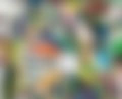 2000 Monky (preview)