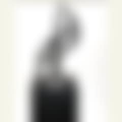 Kinesisk tegn (Chinese sign) (preview)