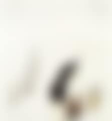Just give me a chance to love you (preview)