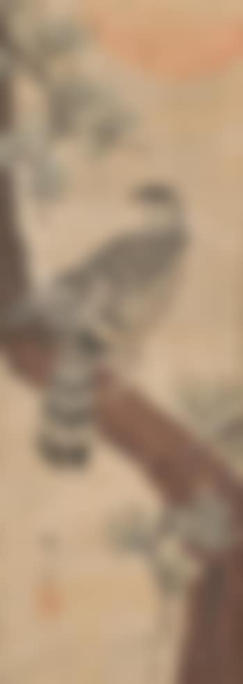 Hawk (preview)