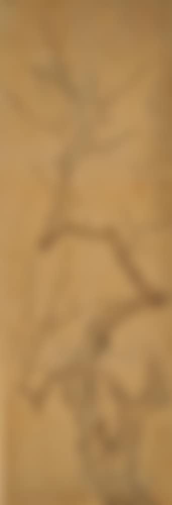 Plum of gnarled and twisted bough with many blooming branches (preview)
