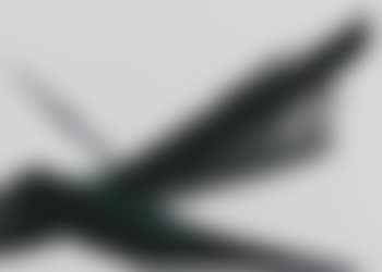 Flight (preview)
