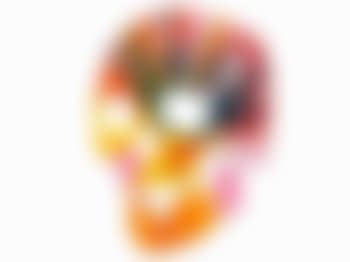 Skull Spin Painting (preview)
