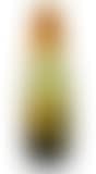 A large overlaid and etched glass vase with fern decor (preview)
