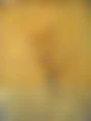 Fiori secchi (preview)