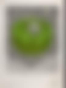 Fruit Bowl (preview)
