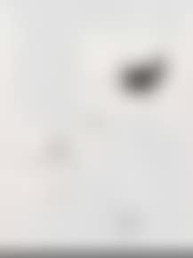 Sans titre (preview)