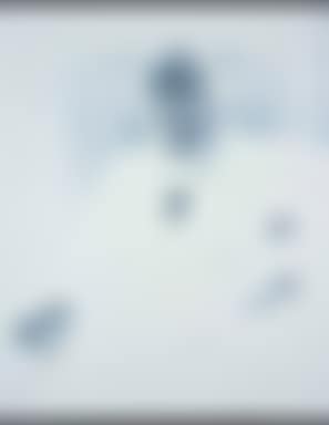 Winston radiography (preview)