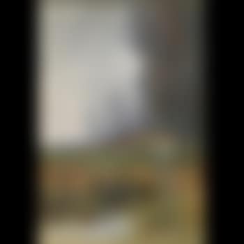 Landscape scene with thatched buildings by a lake (preview)