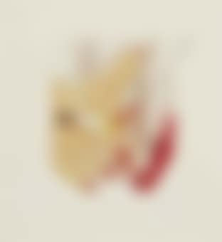Smoker Study (preview)
