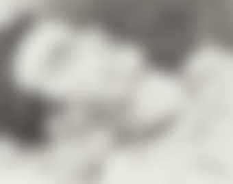 Montgomery clift (preview)
