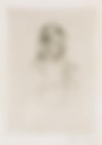 The party dress (preview)