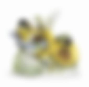 Blue Tits on Sunflowers (preview)