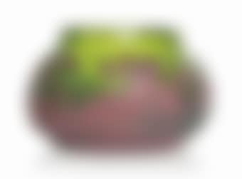 A Vase (preview)