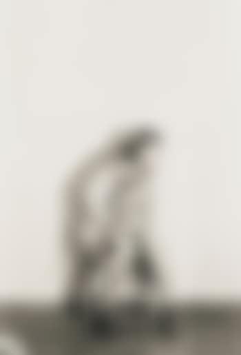 Untitled #430 (preview)
