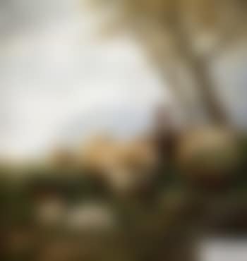 Schafherde und Hirte in Gebirgslandschaft (preview)