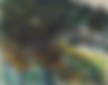 Carmel-by-the-sea (preview)