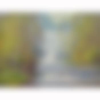 Birches and waterfall (preview)