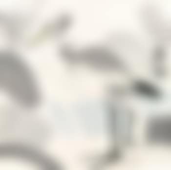 Egret (preview)