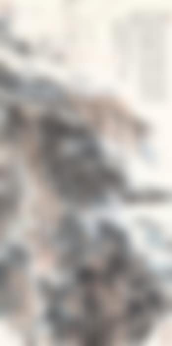 Landscape (preview)
