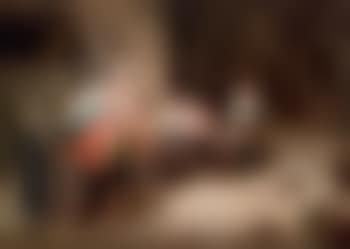 Pelea de gallos (preview)