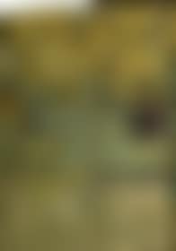 Composition (preview)