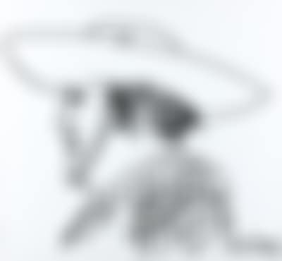 Le picador (preview)
