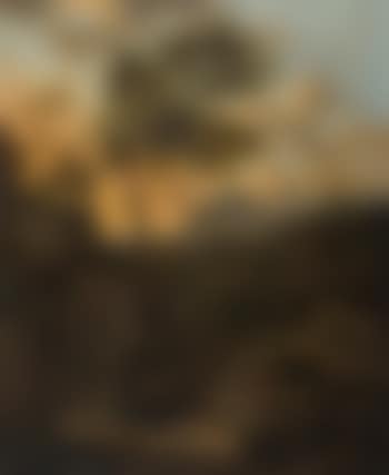 Paysage animé (preview)