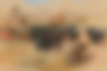 Halte de caravane (preview)