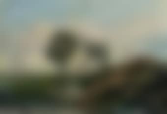 Landscape near Utrecht (preview)