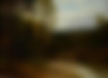 Cattle in a wooded river landscape (preview)