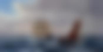 Sailing ships and fishing boats at sea (preview)