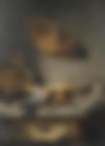 The game leader (preview)
