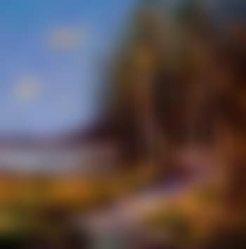 Walk by Hillsborough Lake (preview)