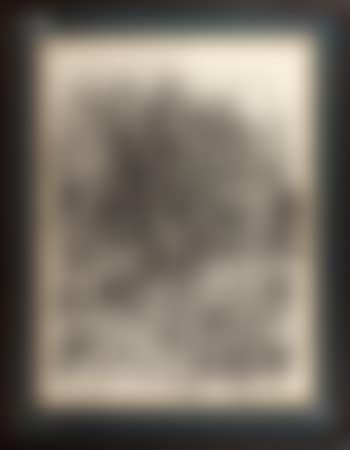 Tree study I (preview)