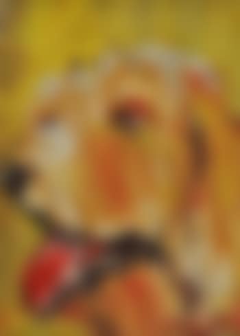 Irish terrier (preview)