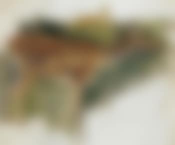 Fawn (preview)