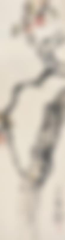 Persimmon (preview)