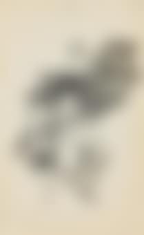 Bajan riñendo (They go down quarrelling) or Vision de bajar riñendo (Vision: going down quarrelling) (preview)