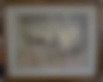 Fiacre (preview)