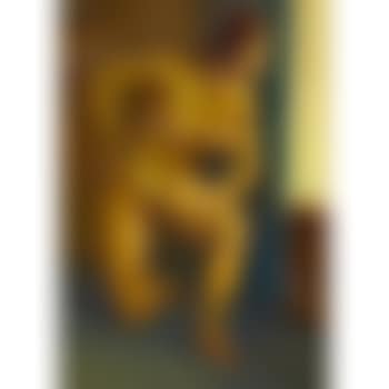 Nude by a window (preview)