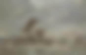 Le port (preview)