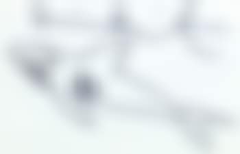 Shark (preview)