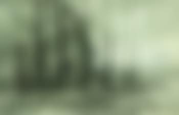 Paysage (preview)