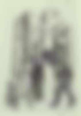 Begegnung mit Masken (preview)