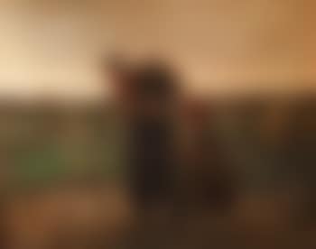 Towards home (preview)
