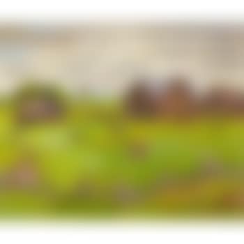 Gatineau farm with grazing cattle (preview)