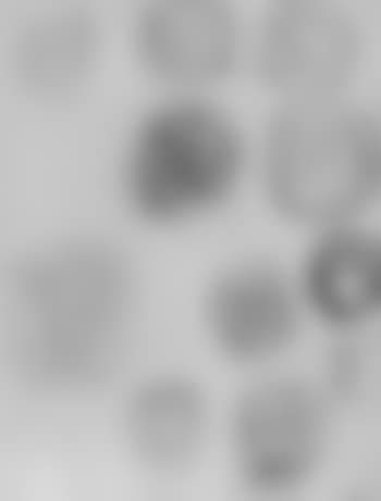 Untitled (preview)