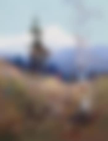 Food cache with Mt. McKinley (preview)